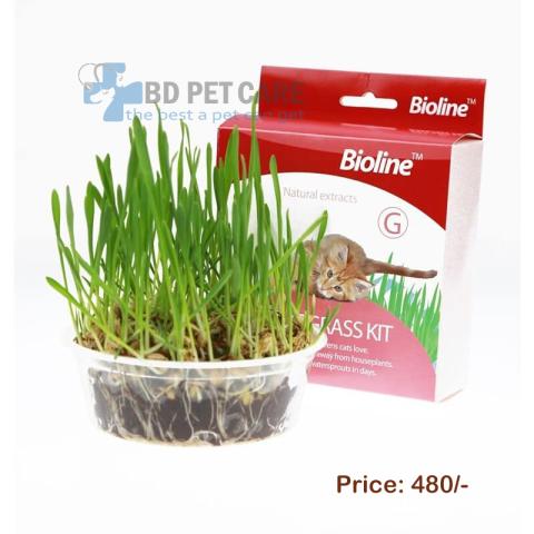 Bioline Cat Grass Kit 12gm