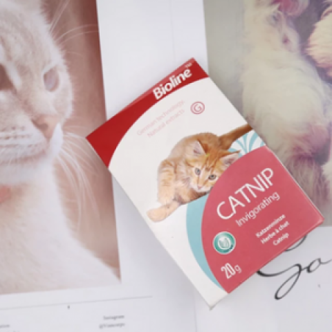Bioline Catnip Invigorating (20g)