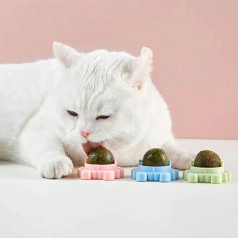 Cat Crab Catnip Ball Toy Contail