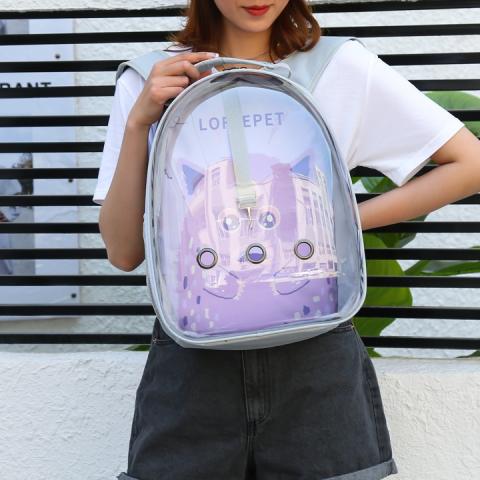 Pet Outing Backpack - Light Gray