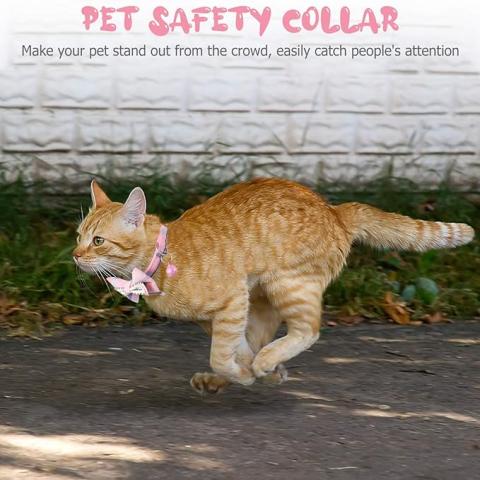 Bow Cat Collar