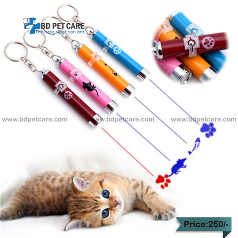 Pet cat laser light