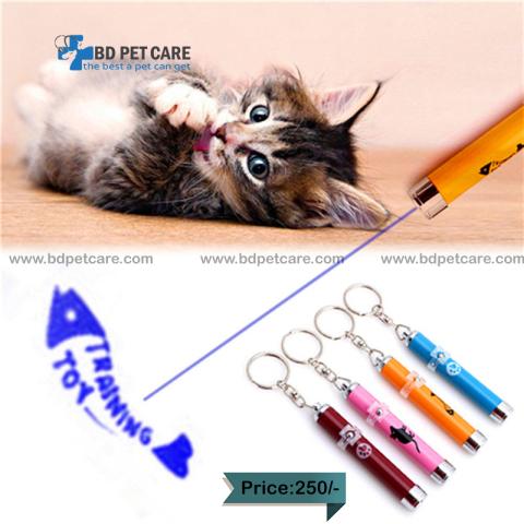 Pet cat laser light