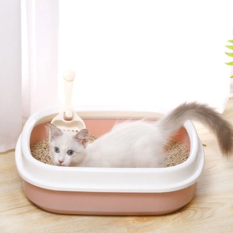Litter Box Cat Tray with Scoop