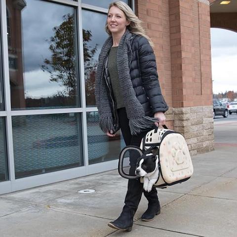 Cute Hand Pets Carrier Bag