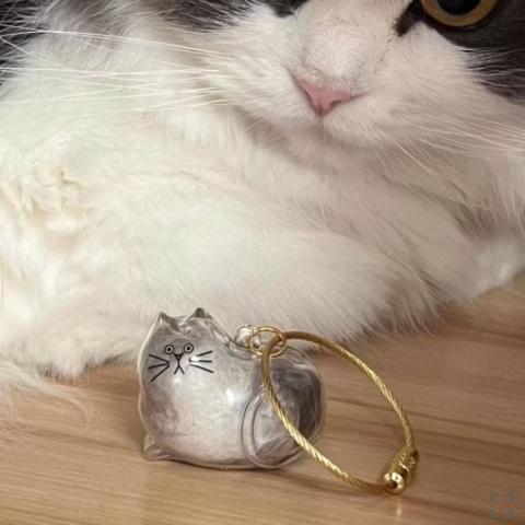Cat Fur Keychain