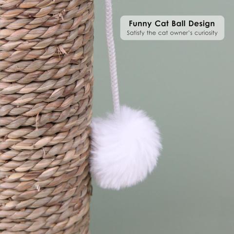 Cat Scratching Post Cute Cactus