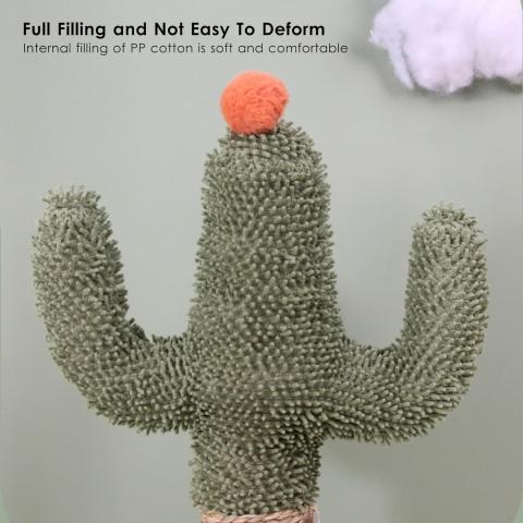 Cat Scratching Post Cute Cactus