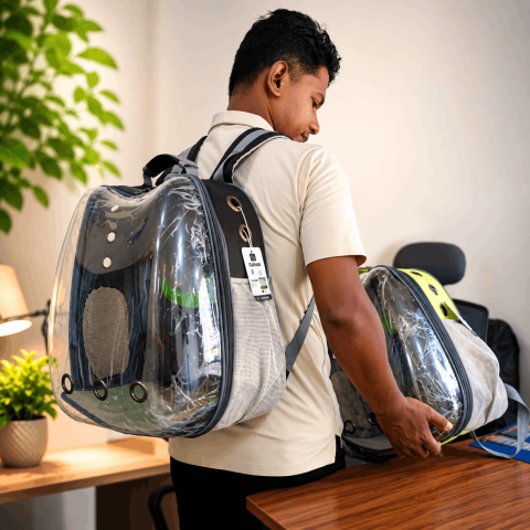 Transparent Cat Carrier Apple Shape Green