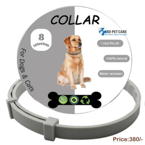 All Cat Dog Collar Anti Flea Ticks Mosquitoes Outdoor Protective Adjustable Pet Collars 8 Months Long-Term Protection