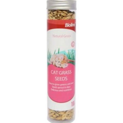 Bioline Cat Grass Seeds 100gm
