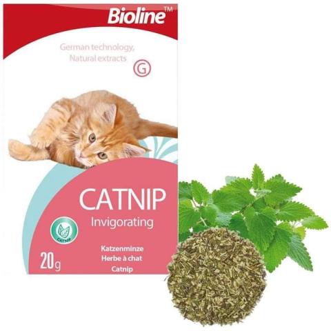 Bioline Catnip Invigorating (20g)