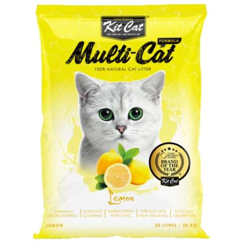 Pet Outing Backpack - Light Gray