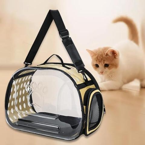 Transparent Pet Carrier – Gold (Size 42*33*28.5cm)