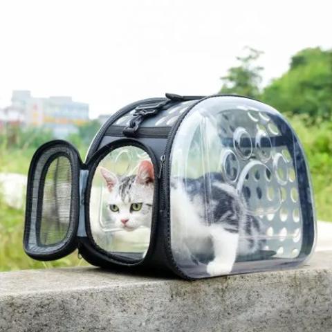 Transparent Pet Carrier – Black (Size 42*33*28.5cm)