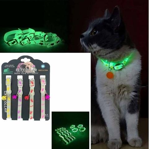 Radium Cat or Dog Collar