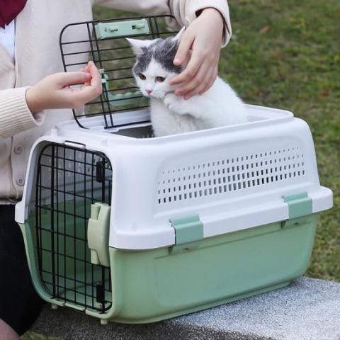 Pet Travel Flight Carrier
